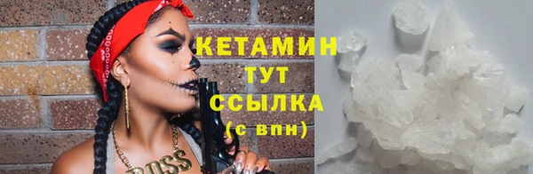 ешки Корсаков