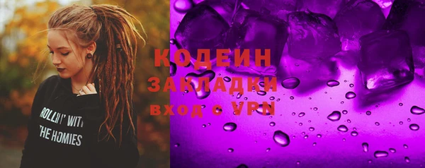 ешки Корсаков