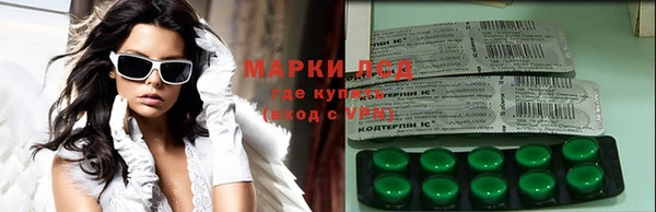 ешки Корсаков
