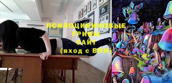 ешки Корсаков