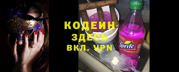 ешки Корсаков