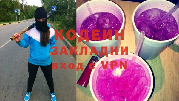 ешки Корсаков