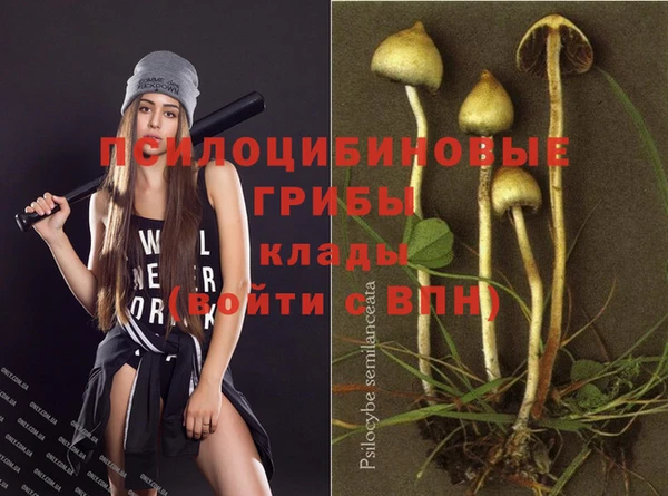 дурь Коряжма