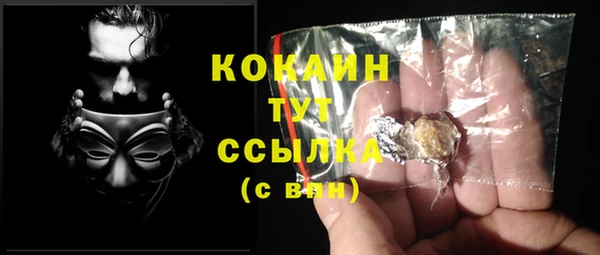 ешки Корсаков