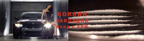ешки Корсаков