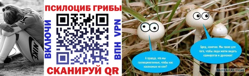 Купить  Рыбное  Псилоцибиновые грибы Psilocybe 